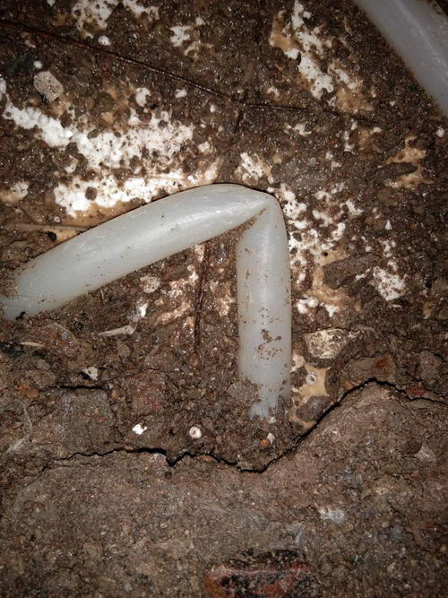 苍梧堵点精准查找